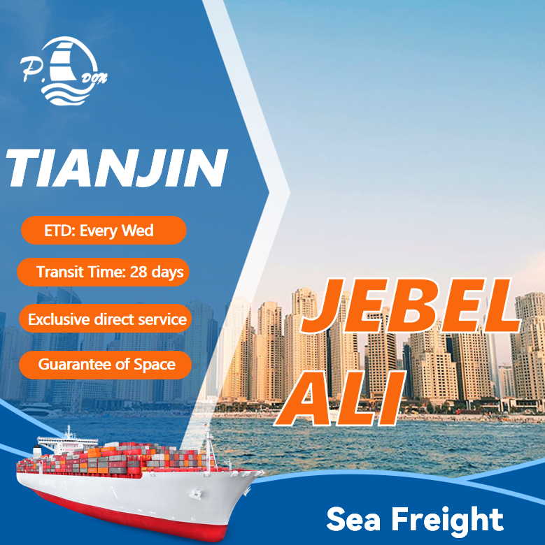 Sea Freight from Tianjin to Jebel Ali