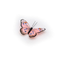 Butterfly Decorations Party City Butterfly decoration ideas Supplier