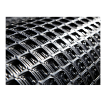 Plastic Road Geo Grids PP Biaxial Geogrid