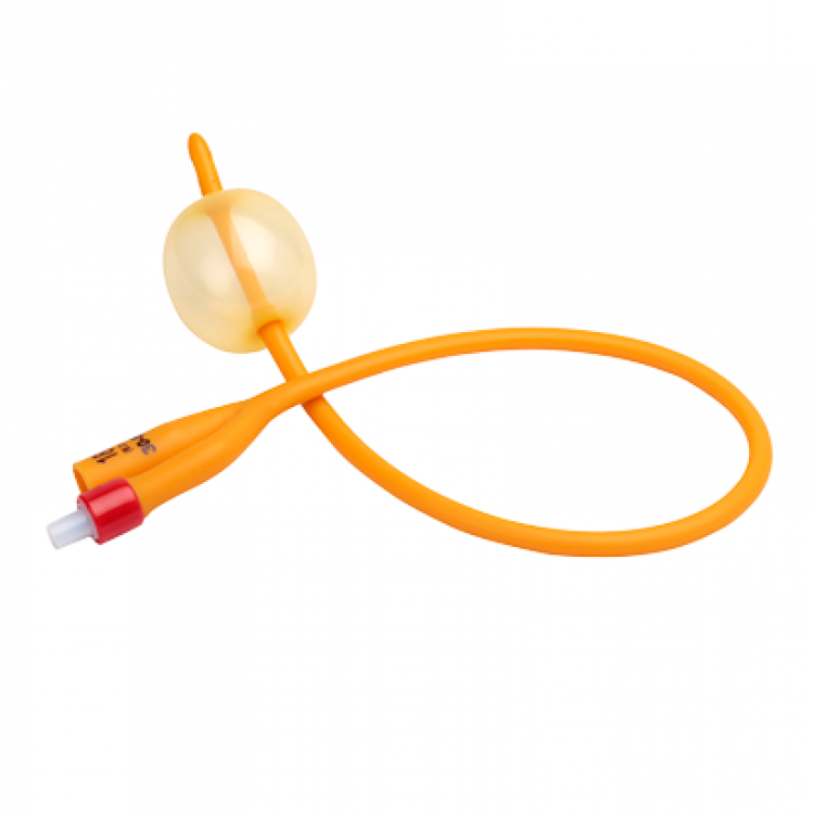 Foley Catheter