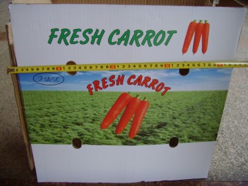 sell sell fresh carrot