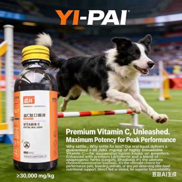 Suplemento nutricional multiespecializado para animais de estimação