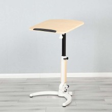 Portable Computer Desk Folding Table