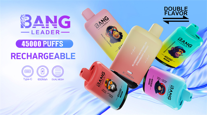 Bang Leader 45K Puffs Bang Leader 45K Puffs