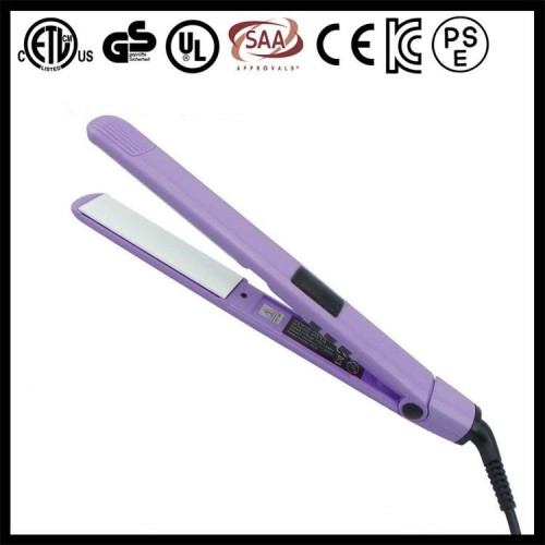 Dongguan Bidisco New personal flat iron hair straightener