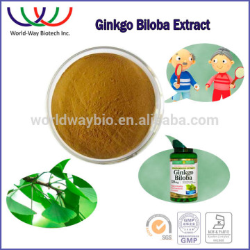 Water Soluble Ginkgo Biloba Extract, Water Soluble ginkgo biloba capsule,ginkgo biloba leaf extract