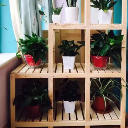 Wooden Green Plant Children Wood Frame Flower Pot Stand