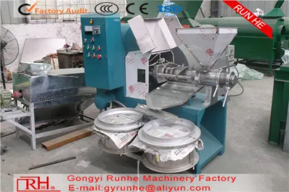 Professional small olive oil press ,walnut oil press,argan oil press machine