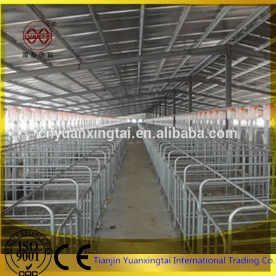 steel pig gestation stall/galvanised steel pipe/tube