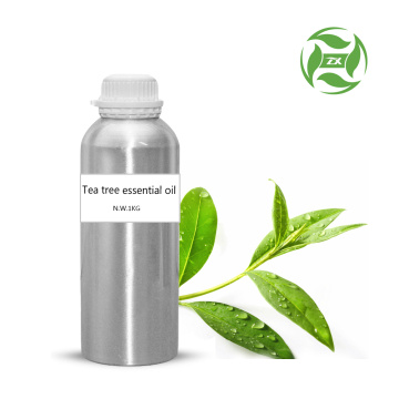 Fornecimento de fábrica 100% puro óleo essencial de tea tree