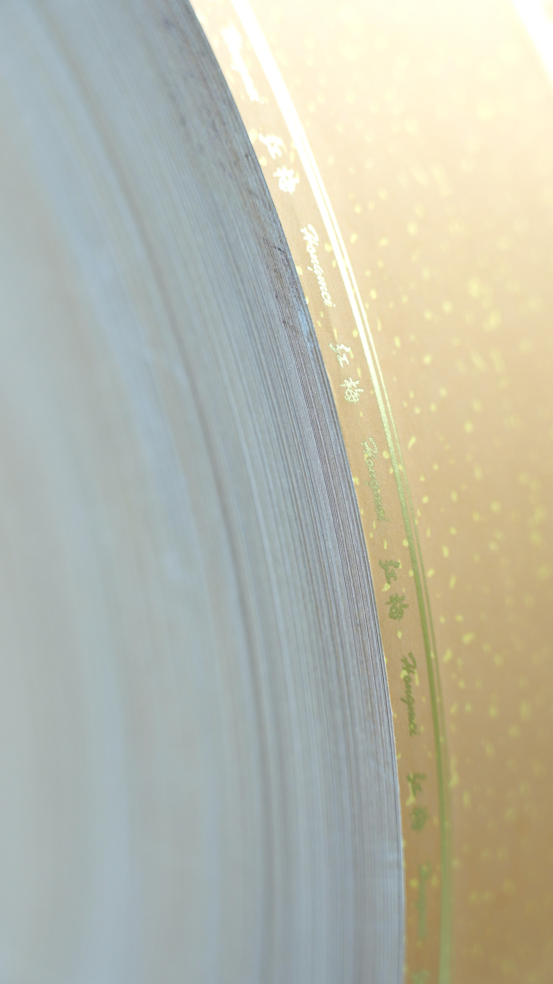 Premium Printing And Packaging Paper
