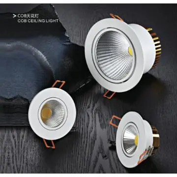 LED COB Light 2W
