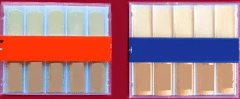 Reed (Saxophone Reed, Clarinet Reed. Etc)