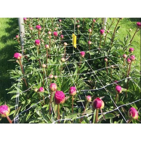 Polyester garden flower support net