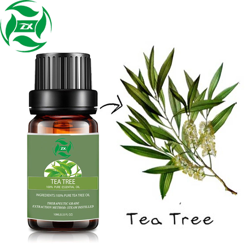 Grado terapéutico natural puro de Tea Tree Oil100% Pure