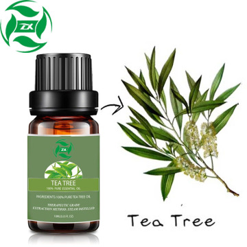 Tea Tree Oil100% Kelas Terapi Alami Murni