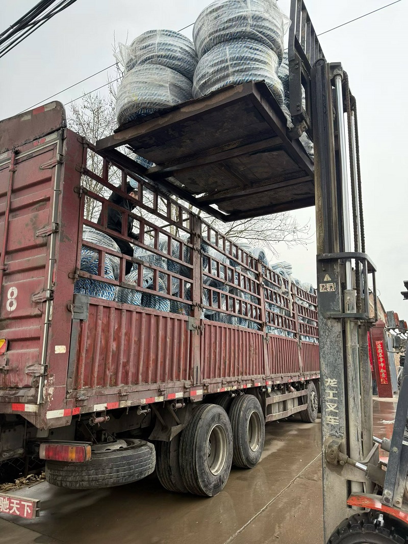 Rislife 40-foot Container Truck Loaded with Customized Motorcycle Tires Shipped to Paraguay, Further Expanding its Latin American Market!