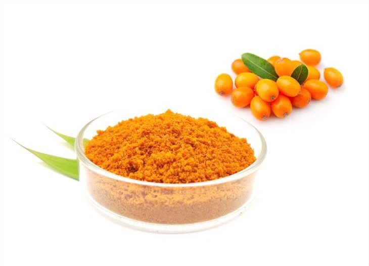 sea buckthorn 
