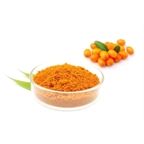 Sea Buckthorn Berry Powder Nutritional Benefits