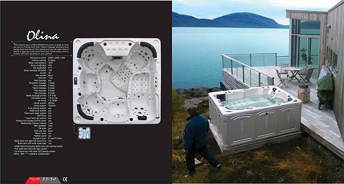 Hot Tub Balboa Control Hydro Whirlpool Garden Spa