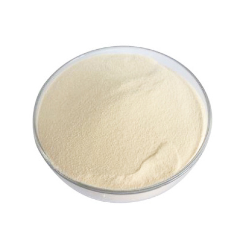 Yeast Extraction Enzyme