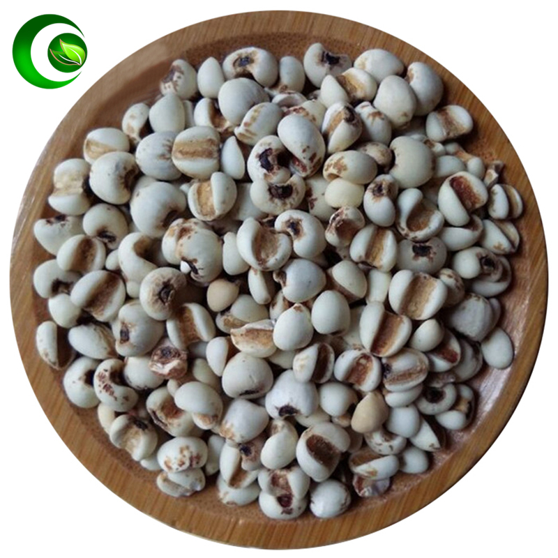 SEMEN COICIS ,coix Seed,barley Rice,Barley Seed,barley Kernels, NGS; Barley Jen; Yi Yi Ren , Lachrymae Jobi,YiMi Jobstears Seed