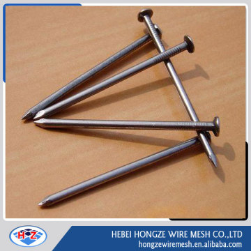 China new products common iron nails