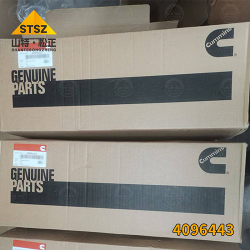 Engine parts 4096443 Start motor