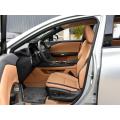 MNRZ Luxury Fast Electric car New Energy Electric Car 5 seats New Arrival Leng