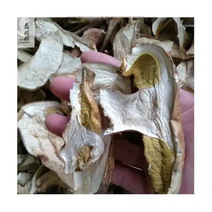 Wild Porcini Mushrooms for Sale: High Quality Dried Beef Liver Mushrooms