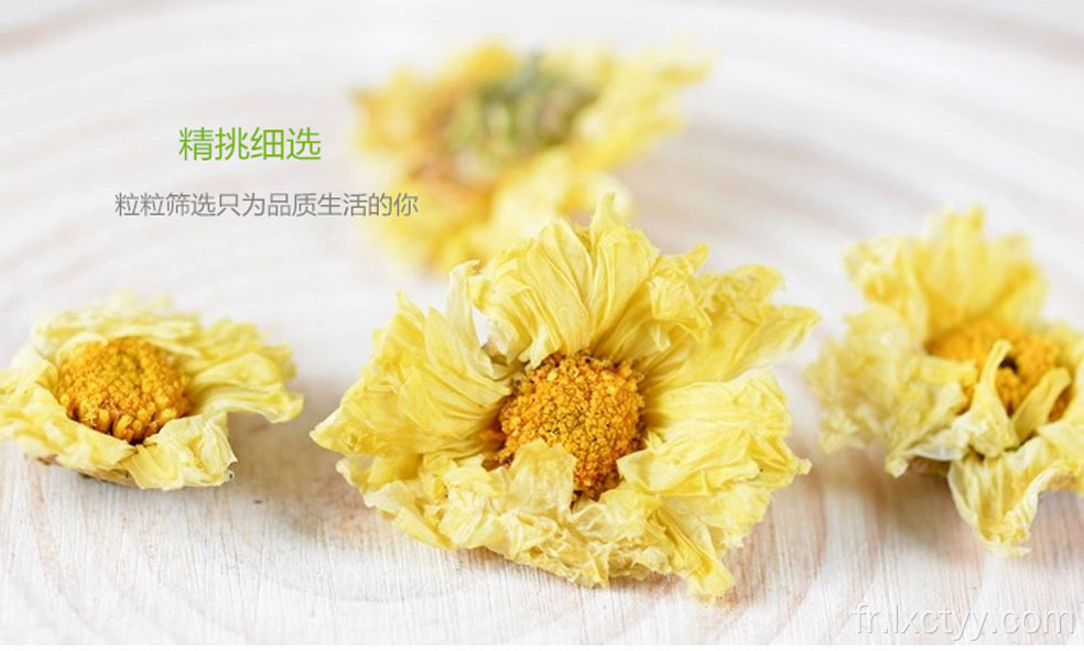 prix chrysanthème fleur coupée