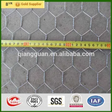Aviary fence 50mm holes, green pvc coated wire netting fencing