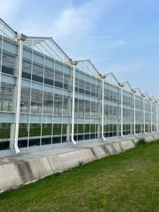 Soilless Cultivation Hydroponics System glass Greenhouse
