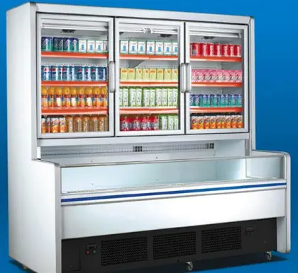 Vertical Refrigerator Display showcase