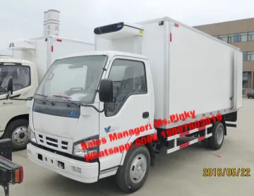 Japanese Truck Meat Ransport Truck Loading 1-5Tons Refrigerator Van Truck