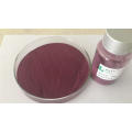 Blueberry Extract 25% Anthocyanins For Supplement