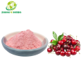 Organic Tart Cherry Powder