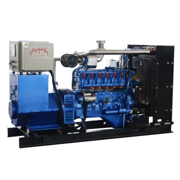 CE Certified LPG Gas Generator