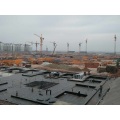 55meters Radius Tower Crane Горячая распродажа крана башни