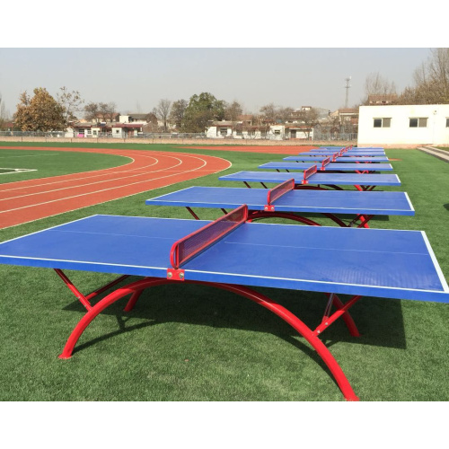 Affordable Blue Folding Ping Pong Table