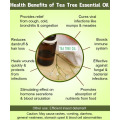 उच्च गुणवत्ता वाले शुद्ध चाय के पेड़ के तेल दवा ग्रेड