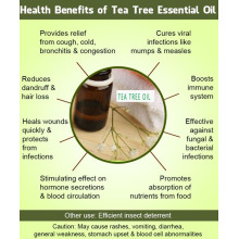 جودة عالية نقية شجرة الشاي النفط الصف الصيدلانية