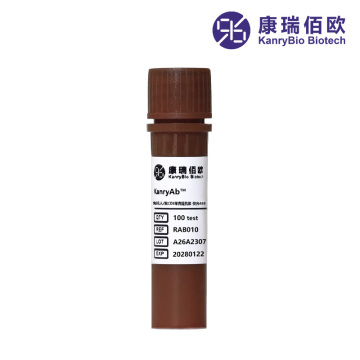 Fluor 488 Conjugated KanryAb Anti-CD3 Antibody