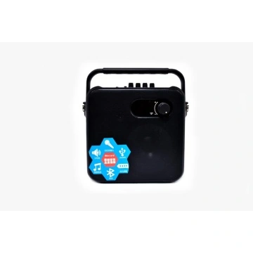 portable outdoor speaker system