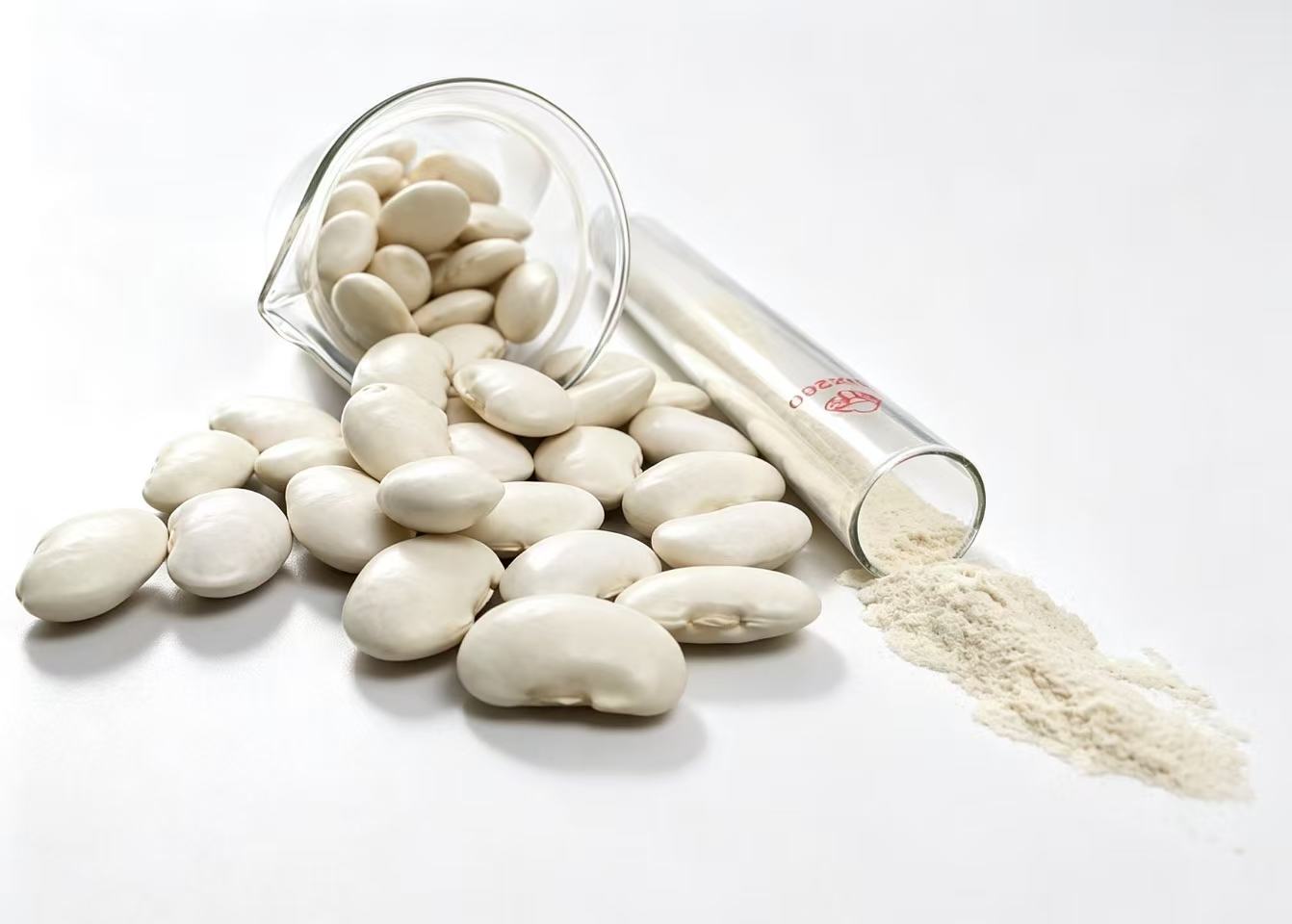 White kidney bean extract