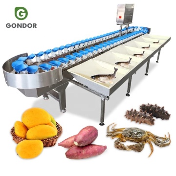 Automatisk frukt- och levande fisksorteringsmaskin: storlek, vikt och klassificering