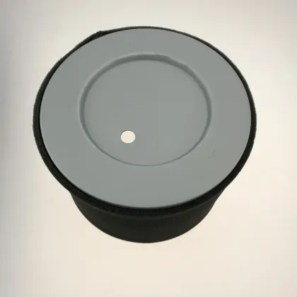 High Quality Air Filter Element 21717211 for Hitachi