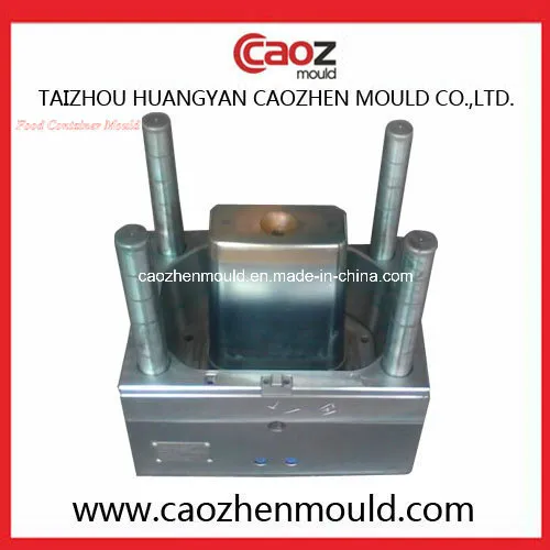 Plastic Injection Storage Food Container Mould in China