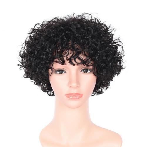 100% NATURAL VIRGIN REMY HUMAN HAIR  CURLY WIG