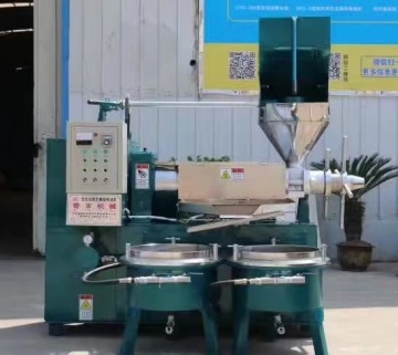 cold olive oil press machine with good performance